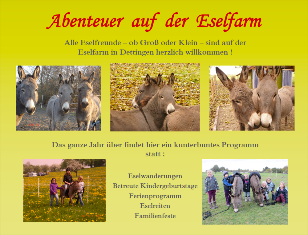 Freizeitangebote auf der Eselfarm